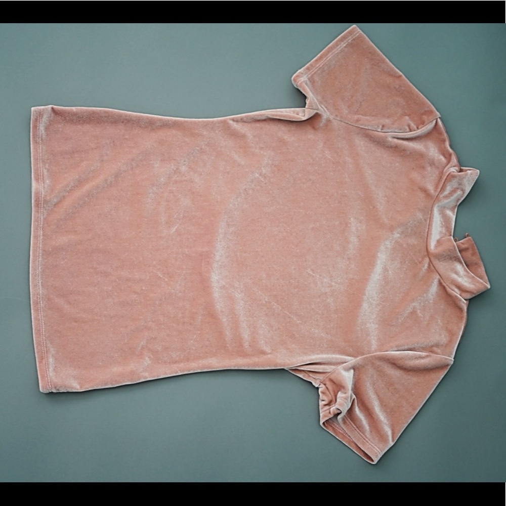 Pink Velvet Top - Picture 2 of 2